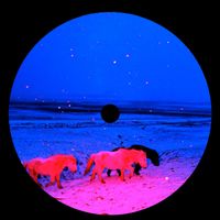 Palette - Celestine