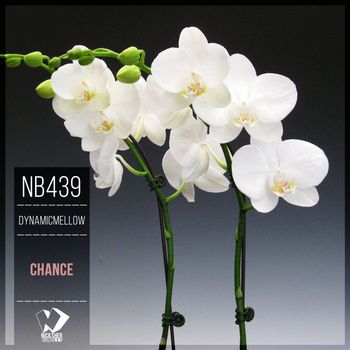 DynamicMellow - Chance