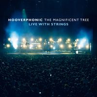 Hooverphonic - The Magnificent Tree - Live With Strings
