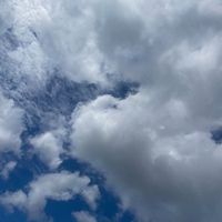 Vision - Free FaLLin (Explicit)