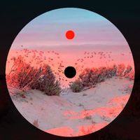 Palette - Orionis