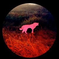 Palette - Aureacqua