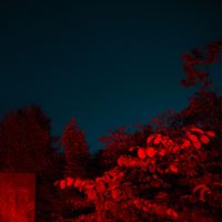 Nektar - Ge mig allt du har