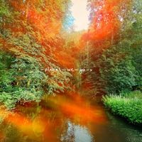 places we go & Mindtrail - Elemental Escapes
