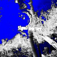 REV - Signal Fracture