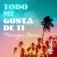 LA BANDA - Todo Me Gusta De Ti Merengues Eternos