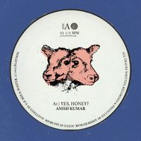 Anish Kumar - Yes, Honey?