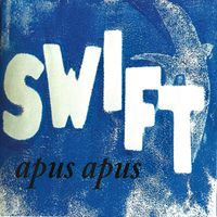 Swift - Apus Apus