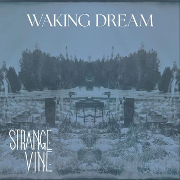 Strange Vine - Waking Dream