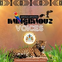Various Artistes - Indigenous Voices