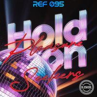 Pleasure seekers - Hold On