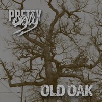 Pretty Ugly - Old Oak