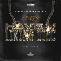 BLU - HAVE U LIKING DICC (Explicit)