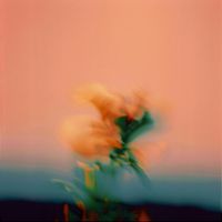 John Hayes - For Now