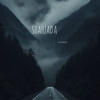 Taaj OFFICIAL - SHAHZADA