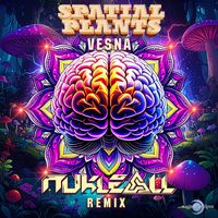 Spatial Plants - Vesna (Nukleall Remix)