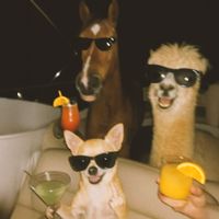 JayCamel - No Podemos Dormir! (Extended Mix)