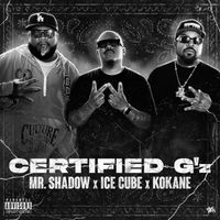 Mr. Shadow - Certified G'z (Explicit)