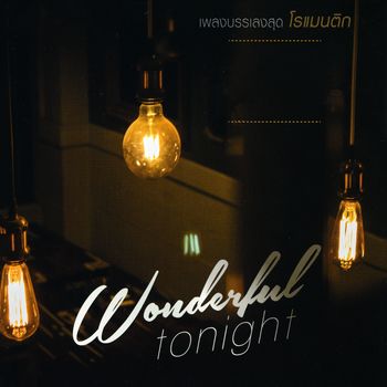 Various Artists - Wonderful tonight