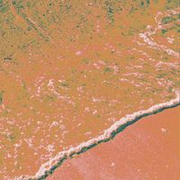 goran - florida