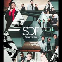S.D.F - กลับมาได้ไหม
