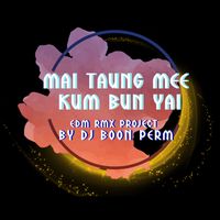 Mr.Team - ไม่ต้องมีคำบรรยาย (EDM RMX PROJECT)