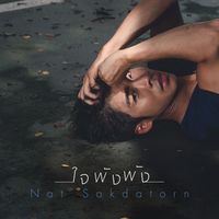 ณัฐ ศักดาทร - ใจพังพัง