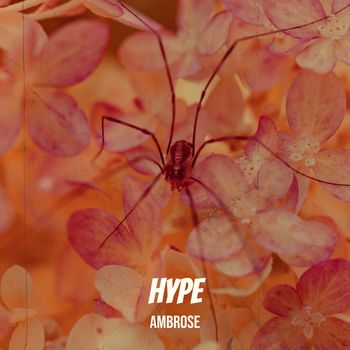 Ambrose - Hype