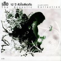 เสือ ธนพล - เสือ 12 ปี หัวใจเดียวกัน The Acoustic Collection