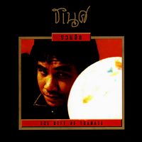 ธเนศ วรากุลนุเคราะห์ - ธเนศ วรากุลนุเคราะห์ รวมฮิต