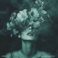 E-TEB - Echoes In The Velvet Dark