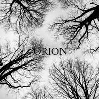 Orion - Orion