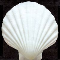 RIVA - L'AMANTE INFELICE