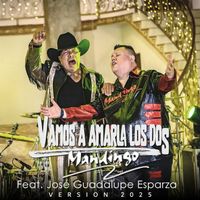 Mandingo - Vamos A Amarla Los Dos (Versión 2025)