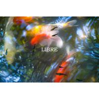KATE - Libre
