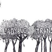 The Ladybug Transistor - Here Comes the Rain