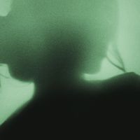 Blossom - Garden of Words