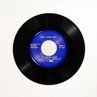 The Mountain Goats - Steal Smoked Fish / In the Shadow of the Western Hills