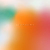 Fruit Bats - Siamese Dream (Explicit)