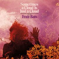 Fruit Bats - Sometimes a Cloud Is Just a Cloud: Slow Growers, Sleeper Hits and Lost Songs (2001–2021)