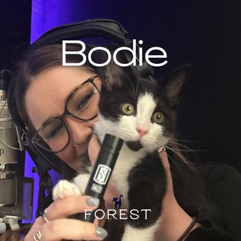 Forest - Bodie