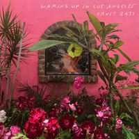 Fruit Bats - Waking Up in Los Angeles