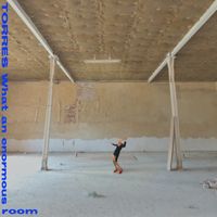 TORRES - What an enormous room