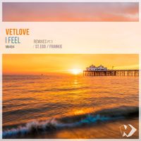 VetLove - I Feel: Remixes, Pt. 1