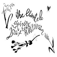 The Clientele - Claire's Not Real / Still Corridor
