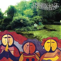 The Ladybug Transistor - The Albemarle Sound (25th Anniversary Expanded Edition)