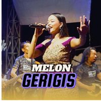 MELON - Gerigis