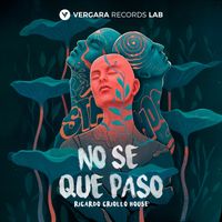 Ricardo Criollo House - No Se Que Paso (Radio Edit)