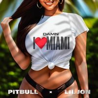 Pitbull & Lil Jon - Damn I Love Miami