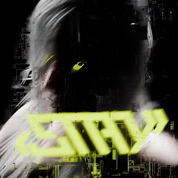 Into Ash - STAY